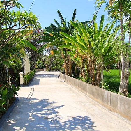 Villa Surgawi ロヴィーナ エクステリア 写真