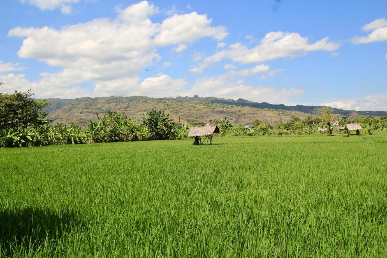 Villa Surgawi ロヴィーナ エクステリア 写真